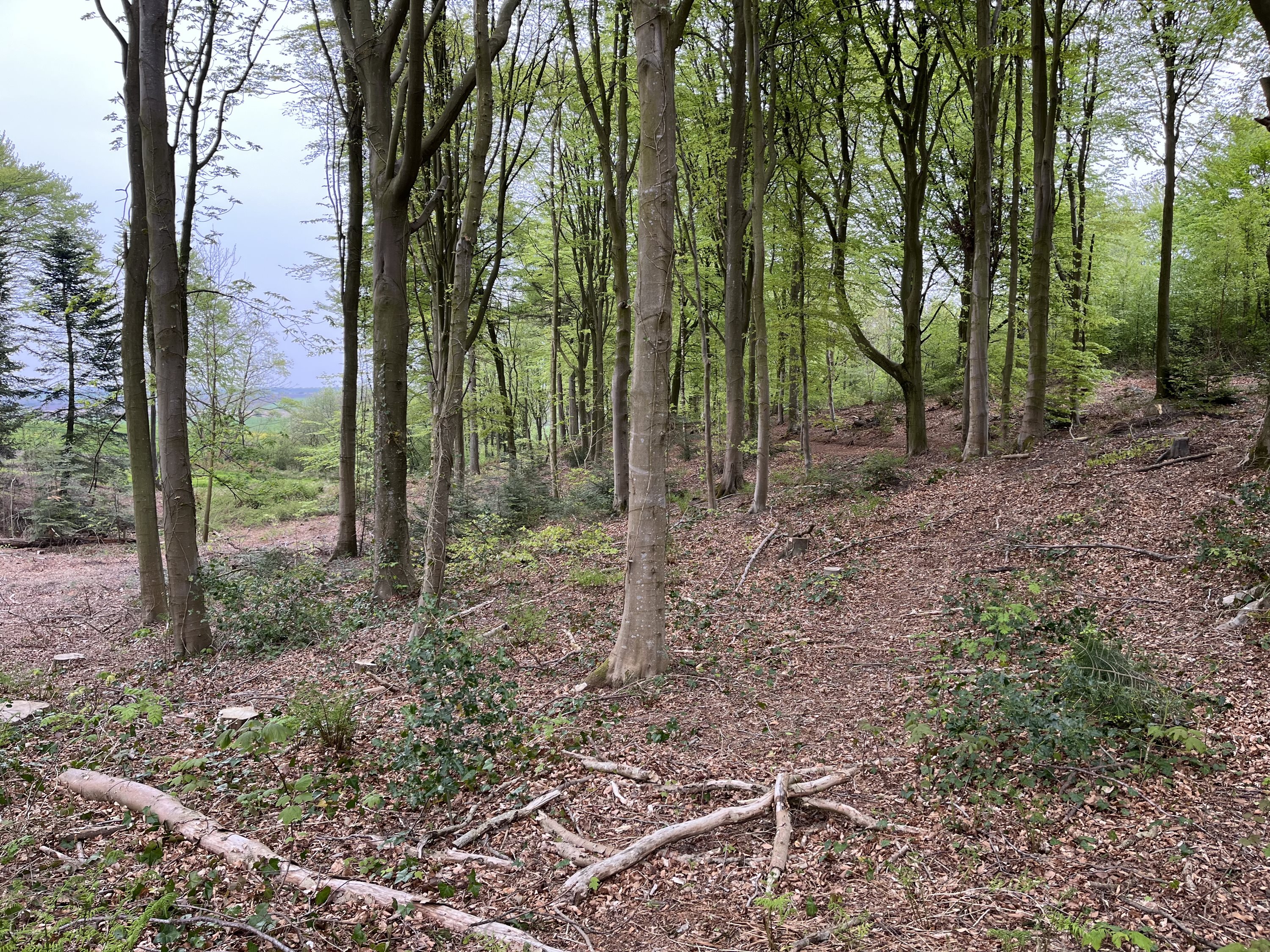 Kirkebakken 4, Hanning, 6900 Skjern
