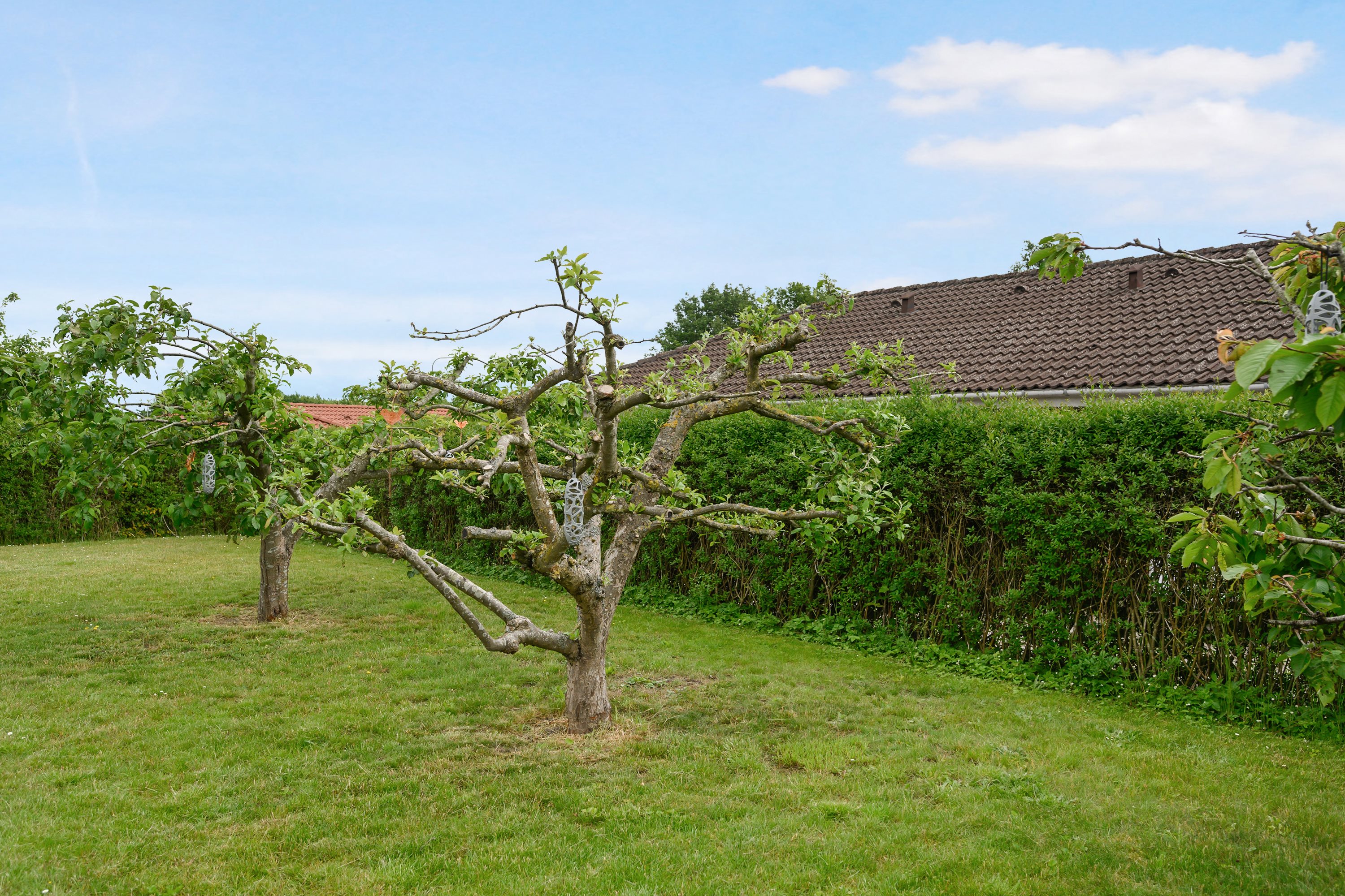 Græshoppevænget 8, Hjallese, 5260 Odense S