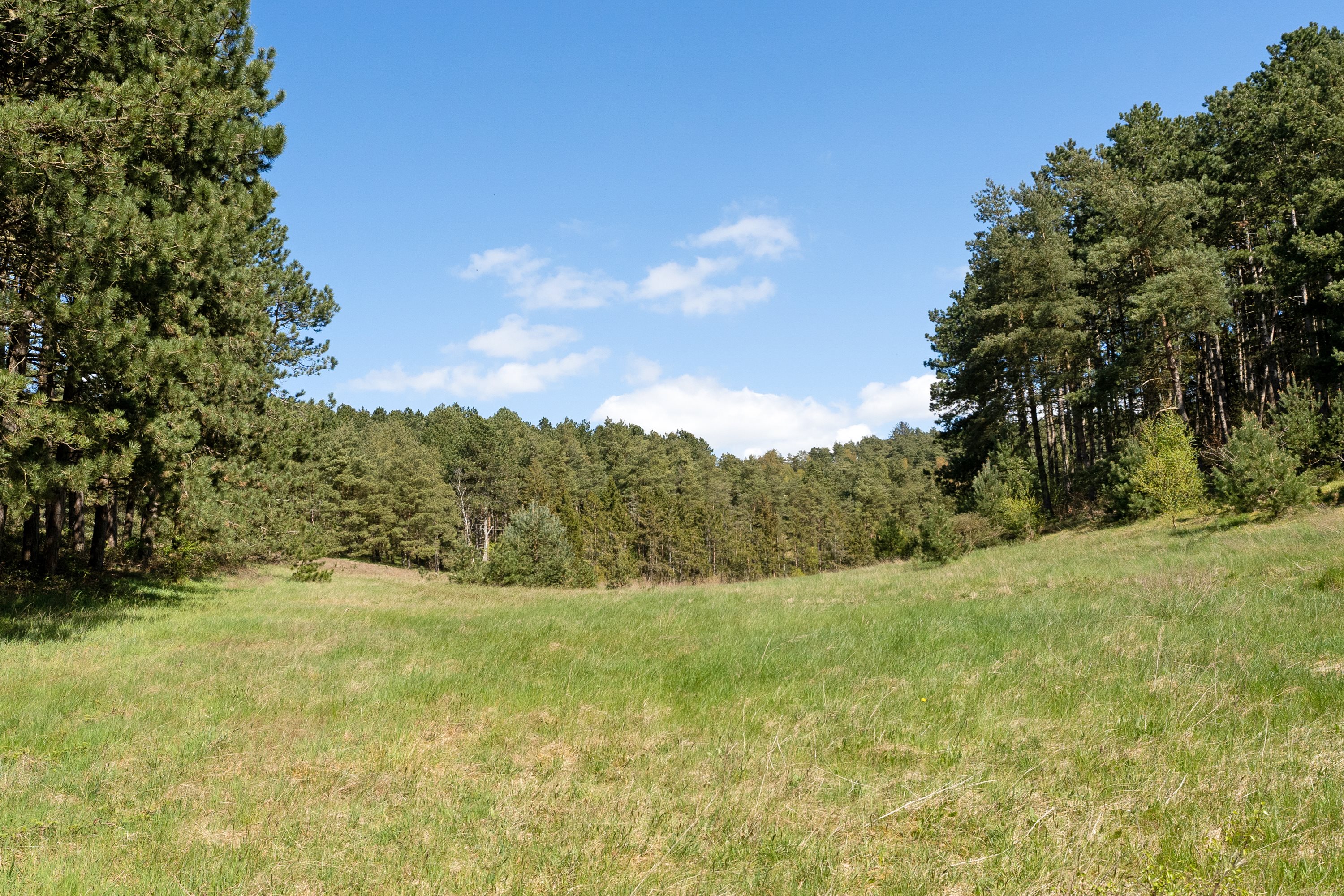 Lyngevej 53, Viderup, 8420 Knebel