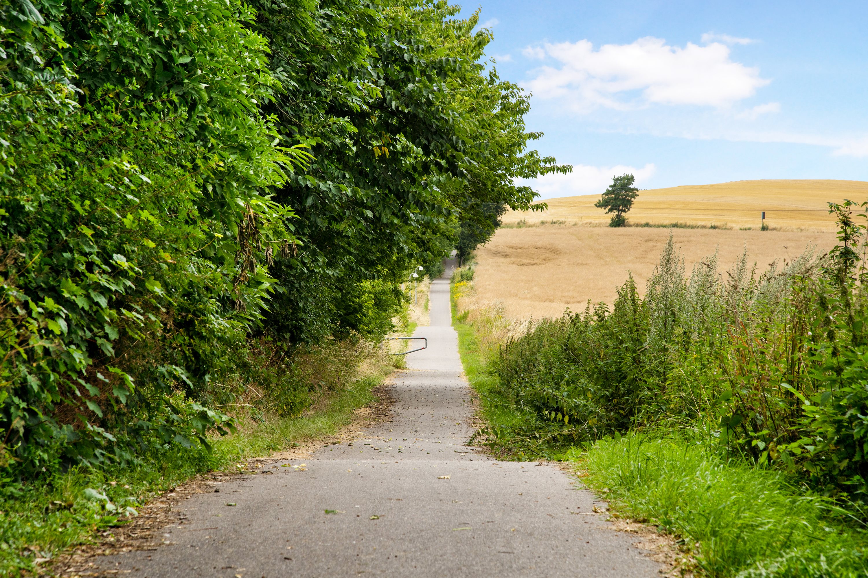 Firhøjvej 22, Snertinge, 4460 Snertinge