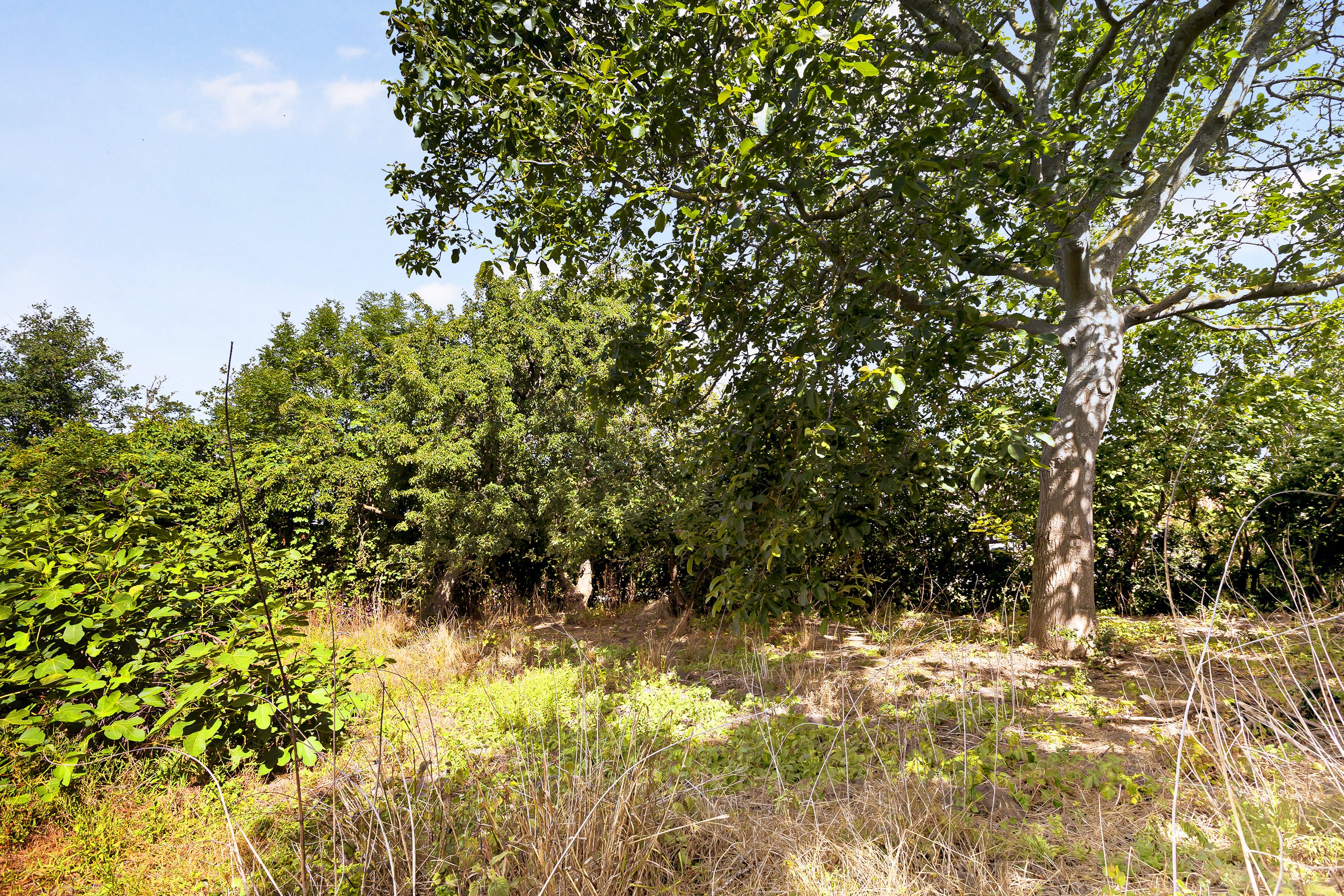 Frellesvigvej 14, Frellesvig, 5953 Tranekær