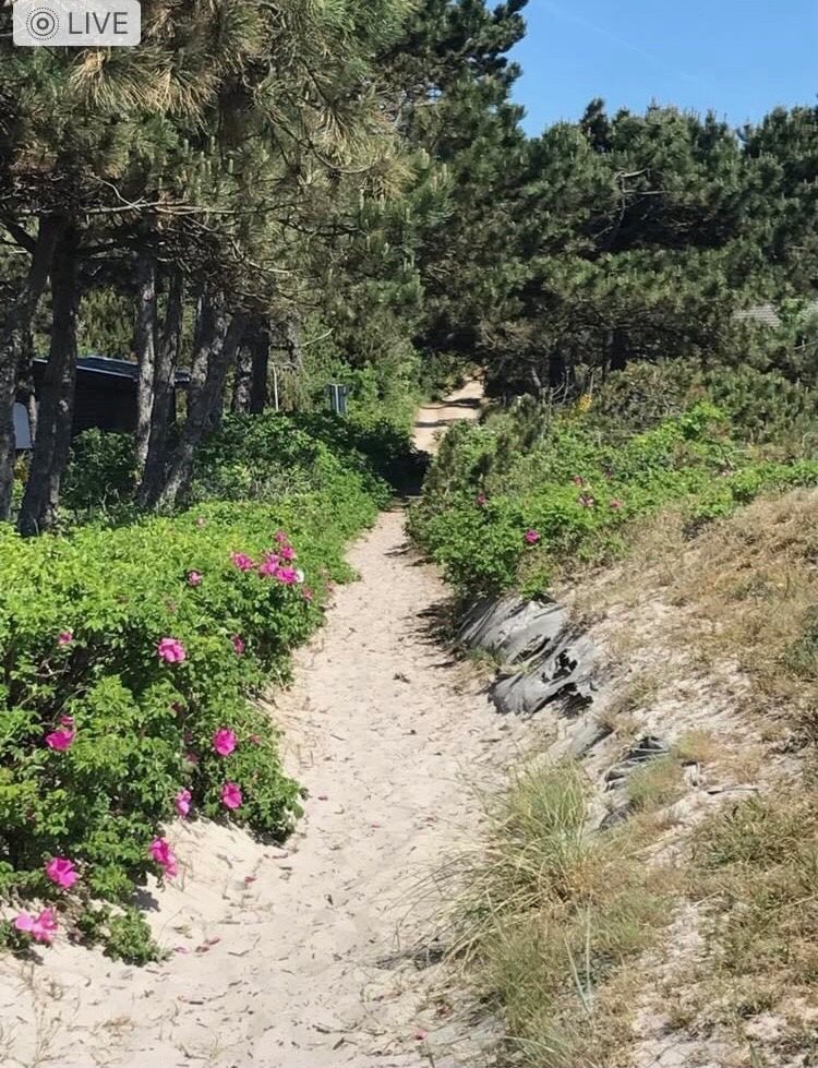 Ravnsvej 15, Lumsås, 4500 Nykøbing Sj