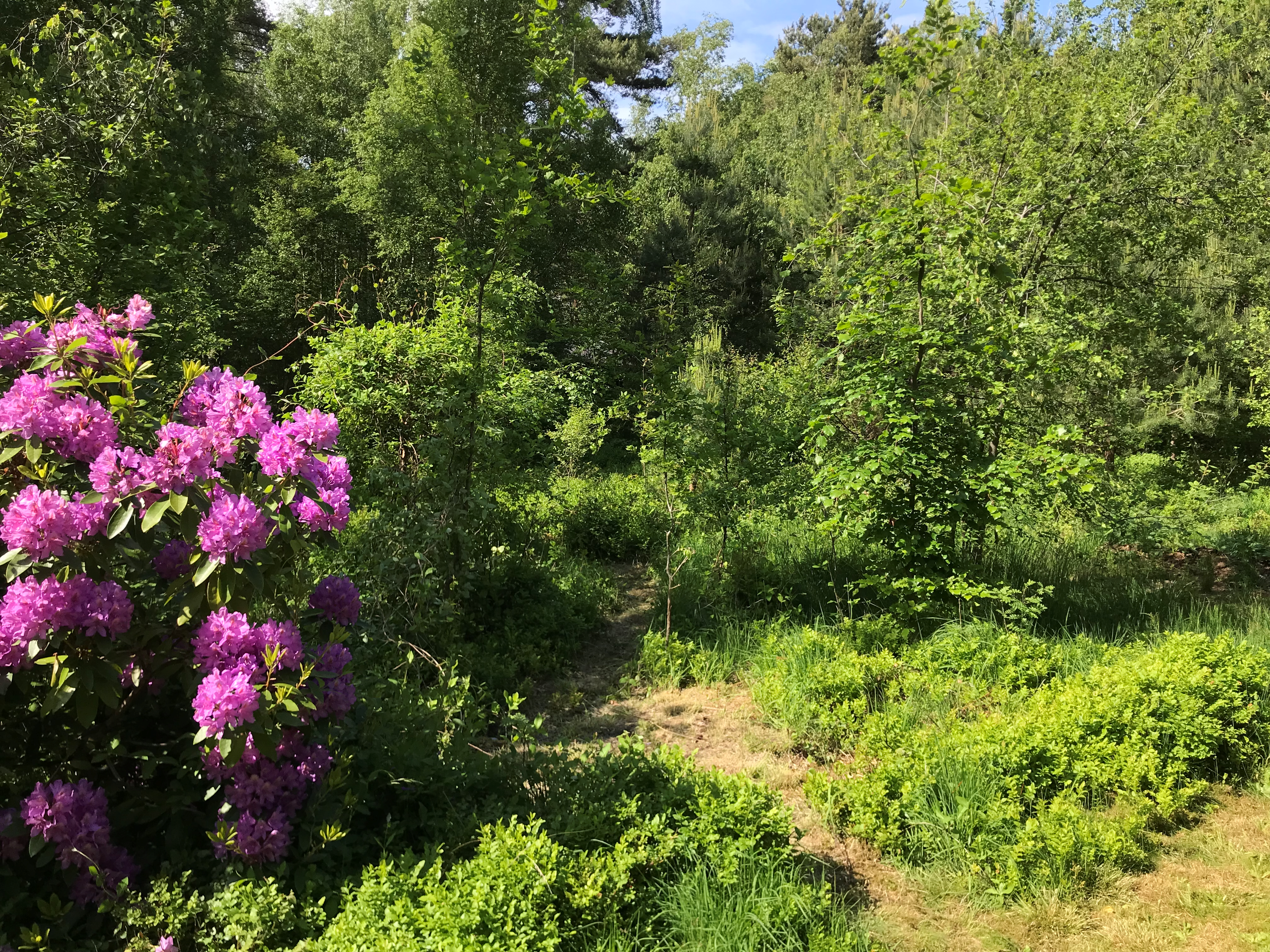 Klitfyrren 1, Ulvshale, 4780 Stege