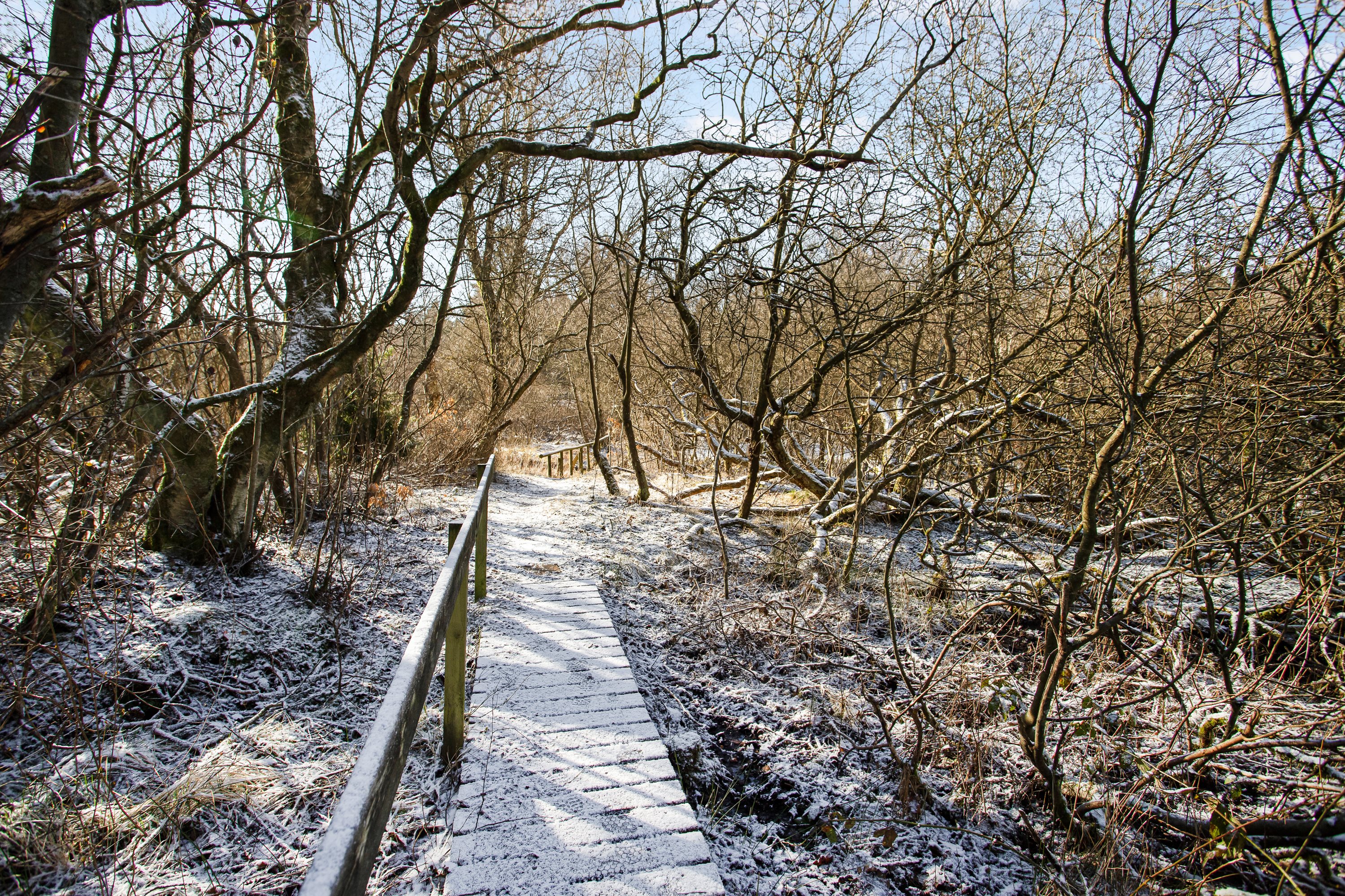 Hesselhus 50, 8600 Silkeborg