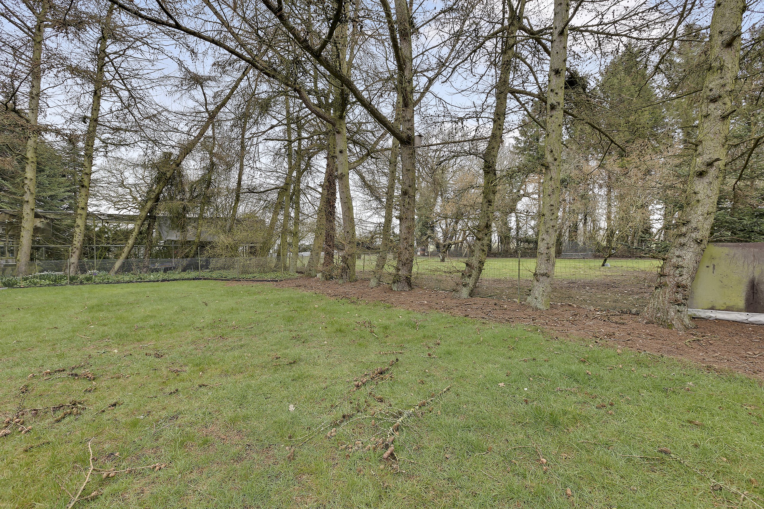 Ørbækvej 18, Mejlskov, 5400 Bogense