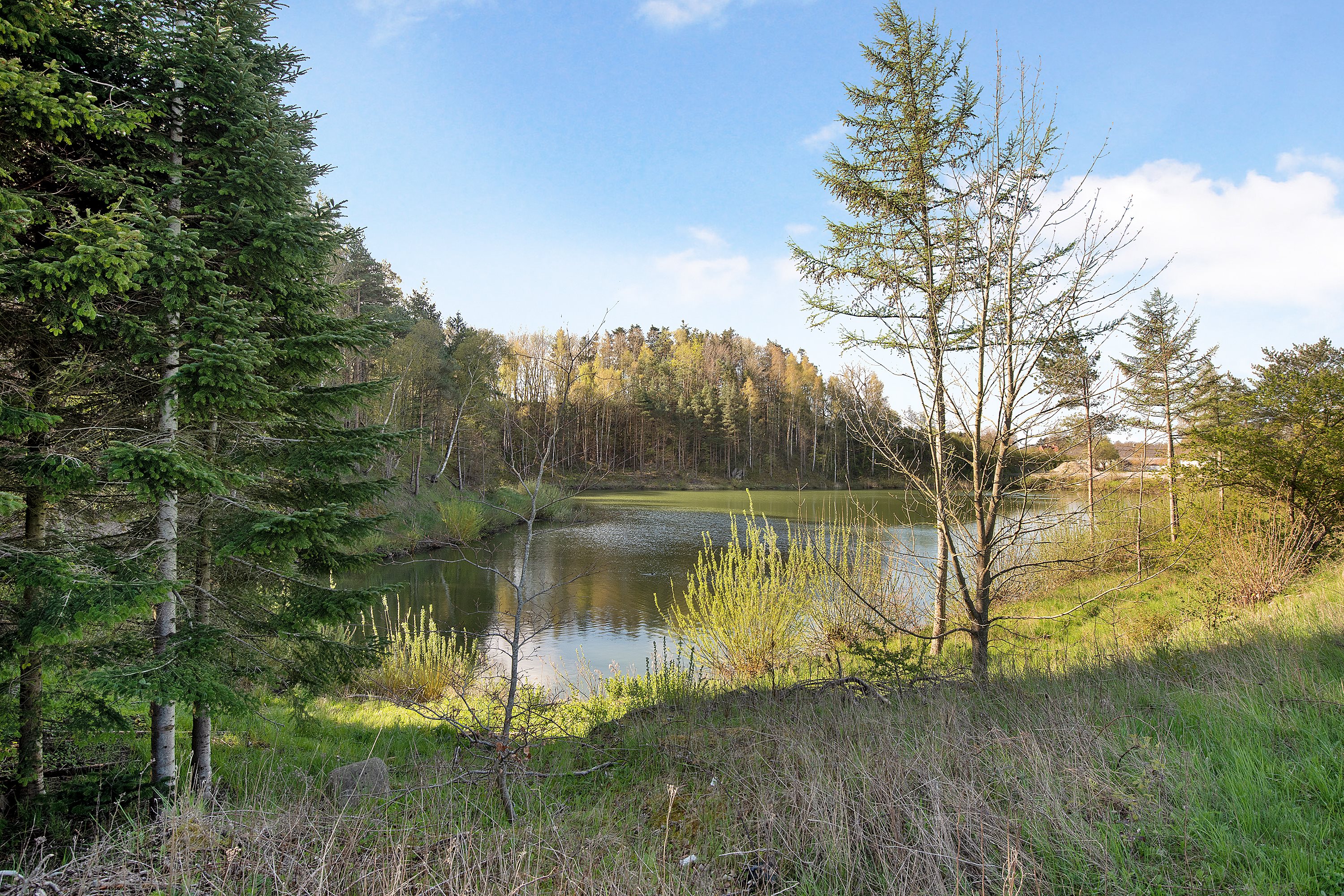 Sallingelunde 4, Sallinge, 5750 Ringe