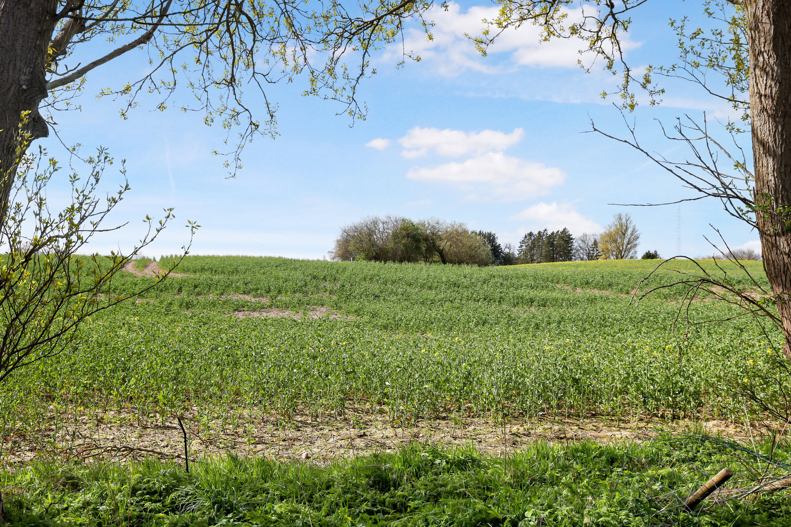 Palmevængevej 13, Sneslev, 4250 Fuglebjerg