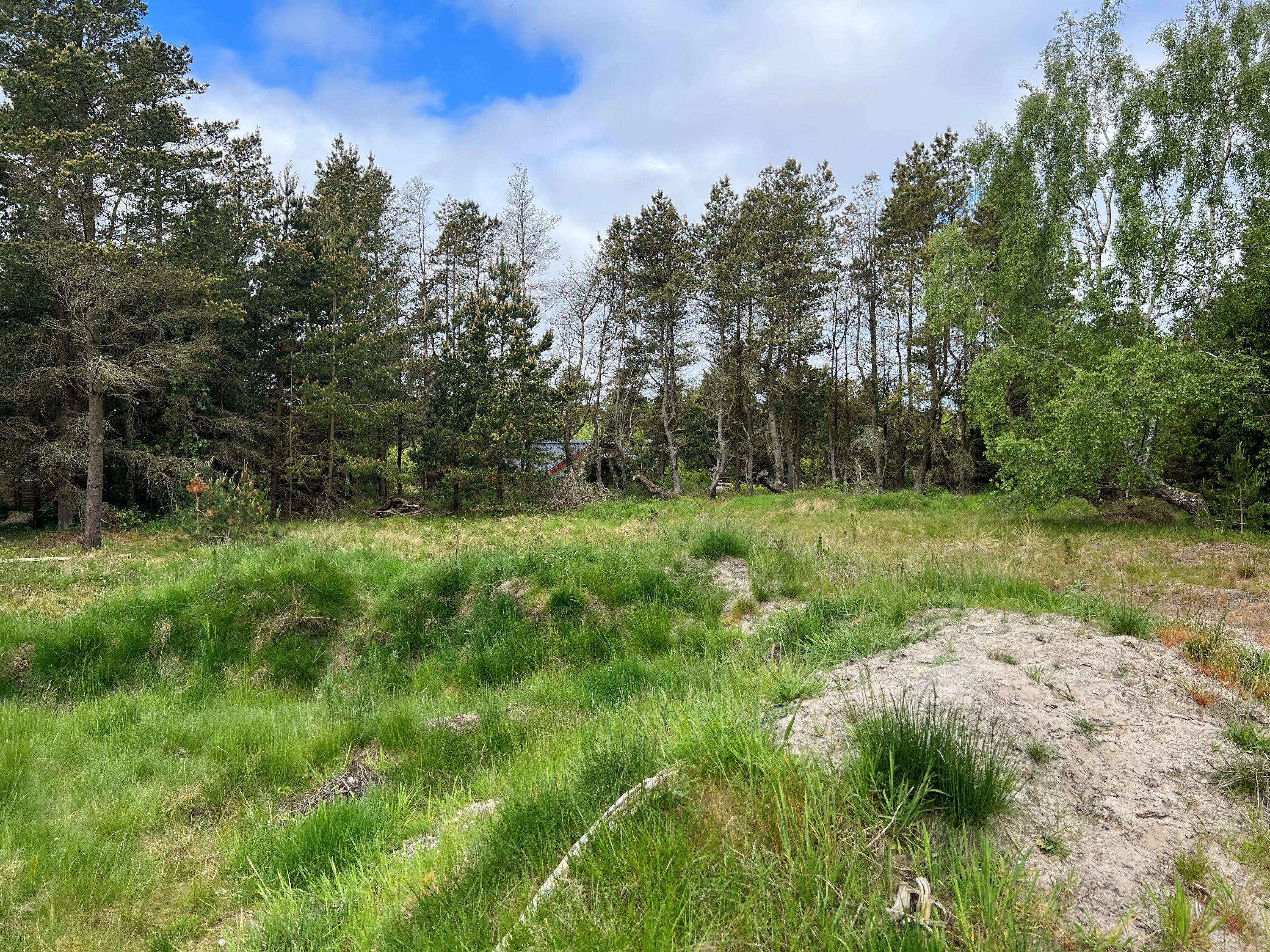 Grævlingevej 6, Mosevrå, 6840 Oksbøl