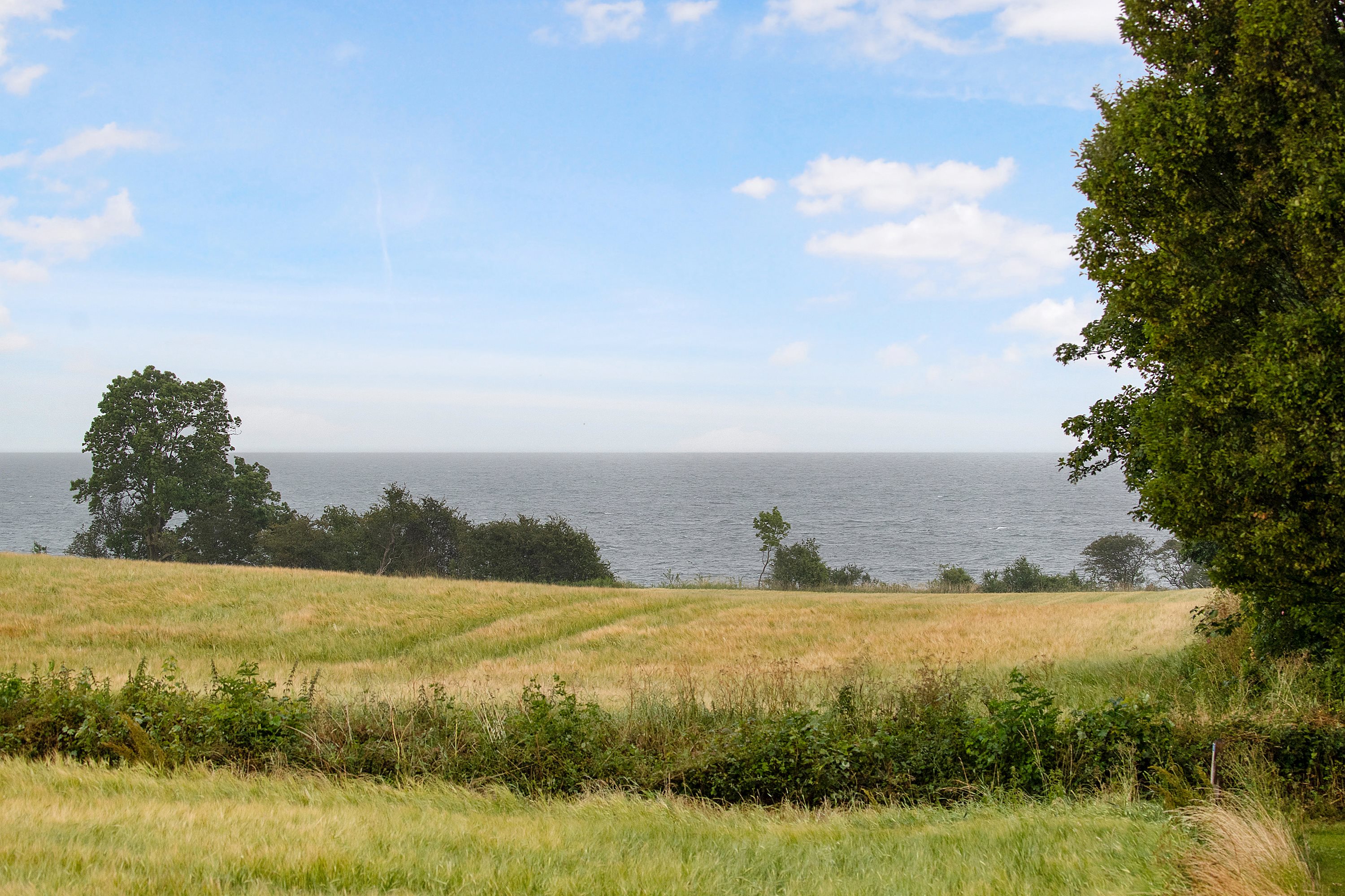 Dyssevænget 9, Asserballeskov, 6440 Augustenborg